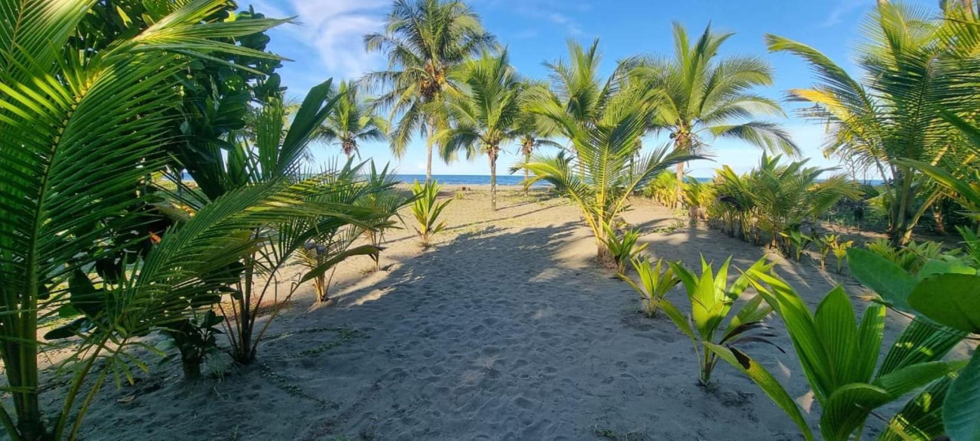 Hotel Playa Westfalia Puerto Limon Exteriér fotografie